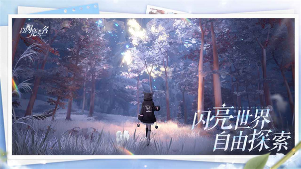 以闪亮之名国际服
