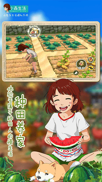 小森生活日服