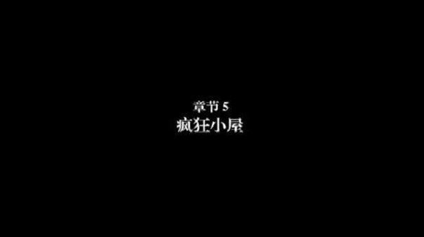 弗兰的悲惨之旅5汉化版