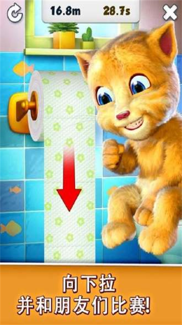 会说话的金杰猫游戏破解版