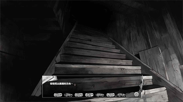 啮齿动物44号观察记录完整版