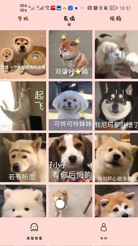汉克狗app
