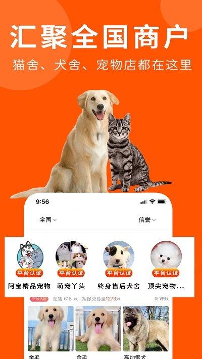 宠物市场安卓版